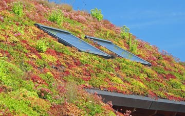 Weaverthorpe living roof systems