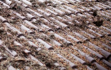 Weaverthorpe roof cleaning companies