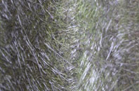 Weaverthorpe fibreglass roof work